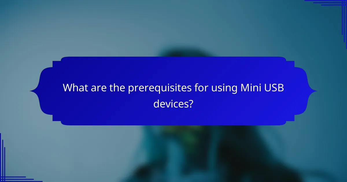 What are the prerequisites for using Mini USB devices?