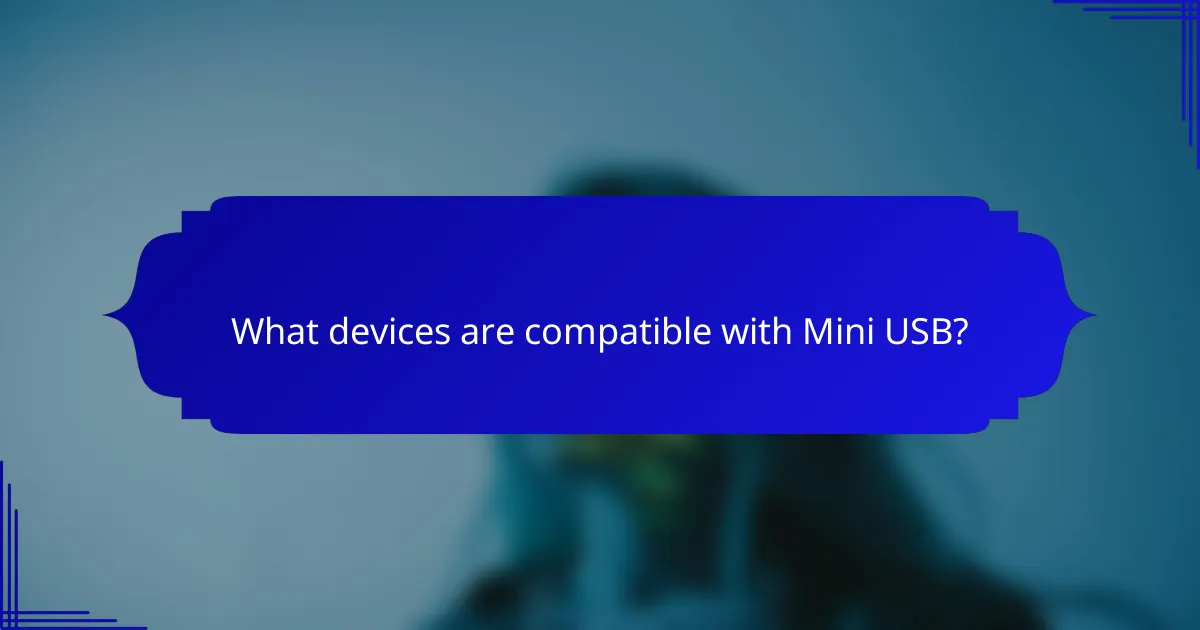 What devices are compatible with Mini USB?
