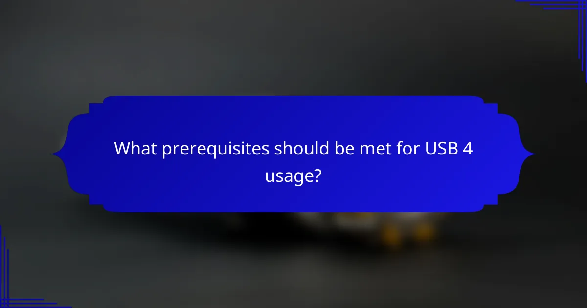 What prerequisites should be met for USB 4 usage?